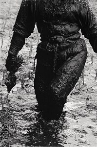 Image description is not available for 2018.015